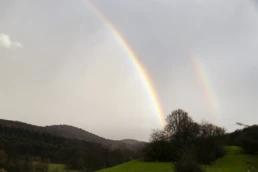 Kräuterwanderungen, Naturfotografie und Waldbaden für ganzheitliches Wohlbefinden